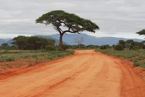 2 Dager Privat Safari i Tsavo fra Diani Beach med Pick Up
