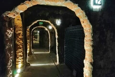 Bairrada Winery Route, half day from Coimbra
