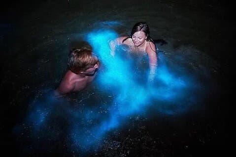 Excursão Luminous Lagoon "Glistening Waters" de Falmouth
