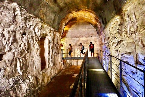 Expert guidad tur i Colosseum Arena OR tunnelbana, och Forum