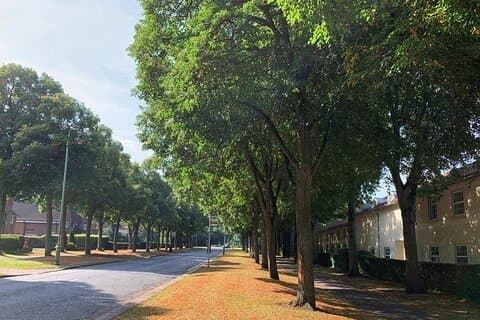 レッチワース・ガーデンシティ: セルフガイド歴史パズルウォーク