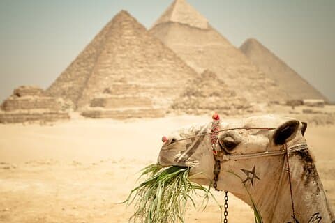 2 tour di un'intera giornata al Cairo per esplorare il meglio del Cairo