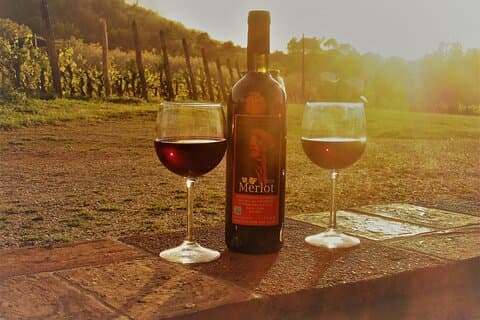 Passeio guiado de bicicleta elétrica com degustação de vinhos de Lucca