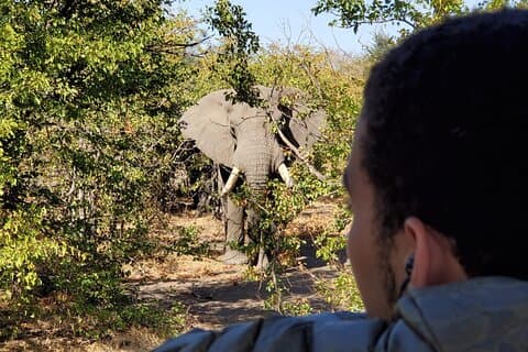 Parcours de jeu d'une demi-journée au parc national Kruger