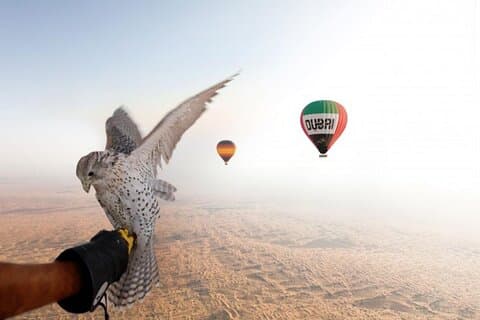 Desfrute de vistas do belo deserto de Dubai por balão de ar quente de Dubai e Falcon