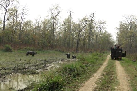 Jeep Safari (Private, 8 - 10 timer) i Chitwan nasjonalpark.