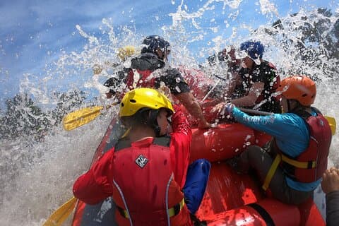 Peaks to Canopy Discover the Northern Andes and Amazon