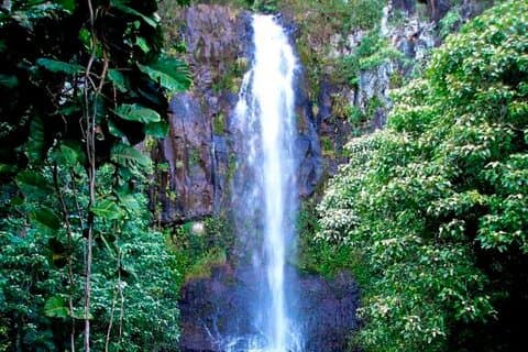 Maui : Tour en petit groupe à Hāna 6 à 8 passagers