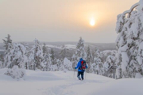 4-dagars snöskovandring för små grupper från Rovaniemi