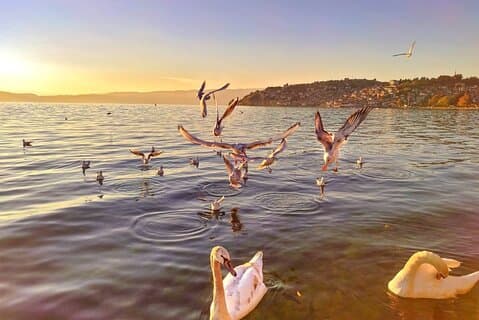 Ohrid and Tirana tour in 2 days (with overnight in Ohrid) from Skopje