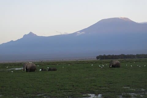 Gita di un giorno al Parco Nazionale di Amboseli