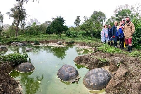 Les anmeldelser av Galapagos Giant Tortoise Experience + Los Gemelos