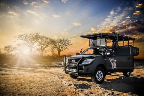 Visita guiada privada ao Parque Nacional Kruger