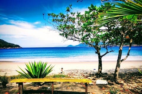 Ilha Grande: from Abraão Trekking Experience 3 Days with Camping