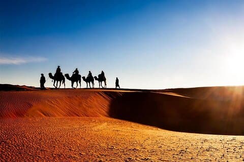 Private Tour To Zagora & Daraa Valley 2 Days 1 Night in The Tent