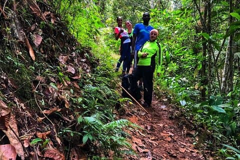Forest and Waterfall walk from Andoke with local Nature Guide