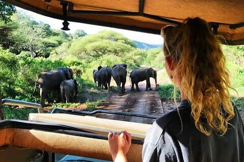 8-dages Tanzania privat safaritur med afhentning i lufthavnen