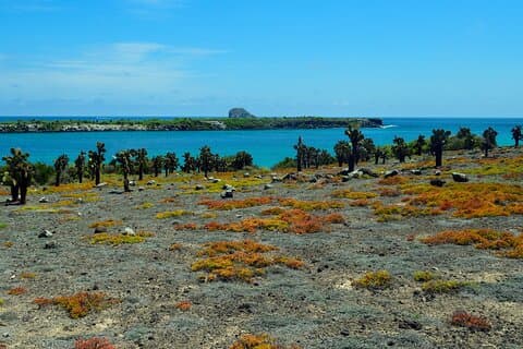 4-dagers dyrelivstur på Santa Cruz Island