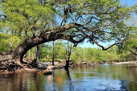 Kayak River Tour to a Private Island