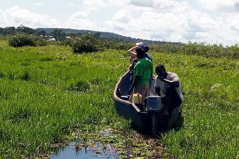 Shoebill stock tracking experience at Mabamba