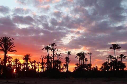 Paseo en camello al atardecer en palmerales con pausa para el té