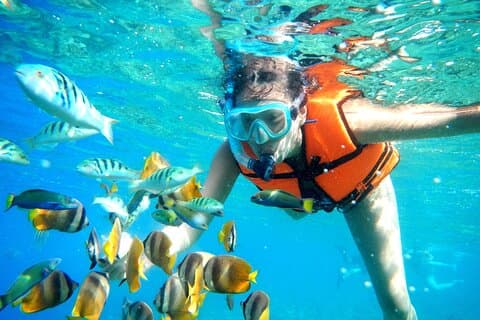 Halvdags snorklingsupplevelse i Puerto Morelos med lunch