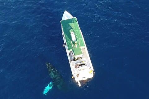 Privat Charter Sanity Vessel Tour fra Kaanapali Beach til Lanai