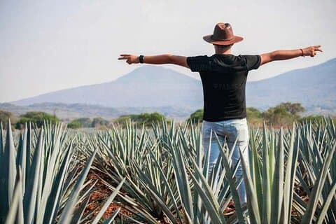 Tour naar Tequila door de Blue Agave Fields vanuit Guadalajara