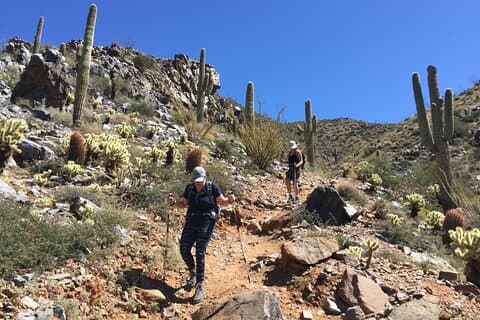 Geführtes Wanderabenteuer in der Wüste von Scottsdale – Classic