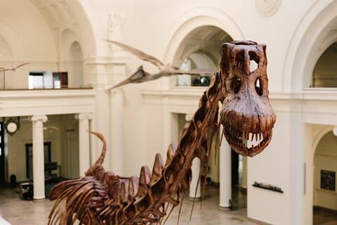 Ticket for tidlig tilgang til Field Museum of Natural History