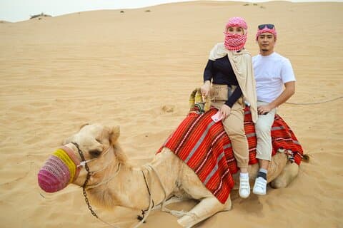 Morning Camel Safari Tour with Breakfast