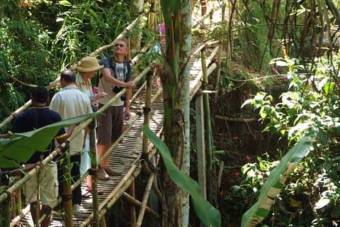Eco Walk in Green Bali: Nature & Herbal Trails near Ubud