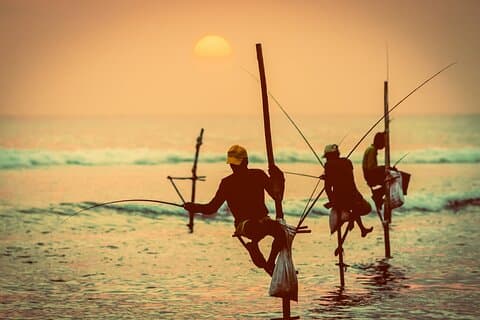 2 dages tur til Bentota Galle & Yala fra Colombo