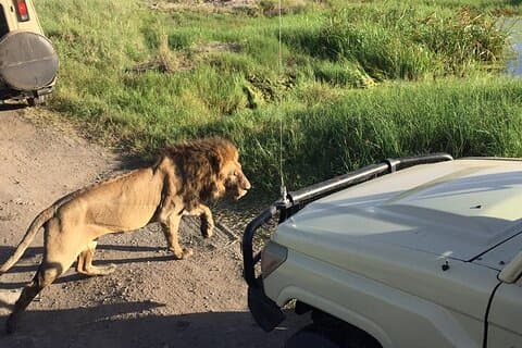 Safari de 4 jours à Tarangire, Serengeti et Ngorongoro au départ d'Arusha - Rejoignez un groupe
