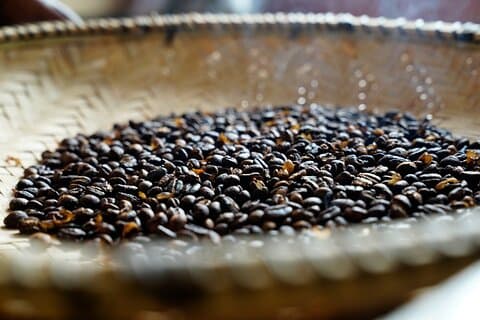 Privat Meru Coffee Tour i Nkoaranga