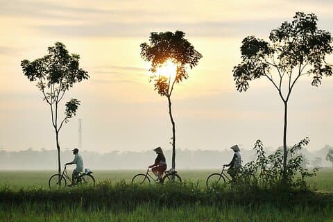 Amazing Half-Day Hoi An Countryside Cycling Adventure