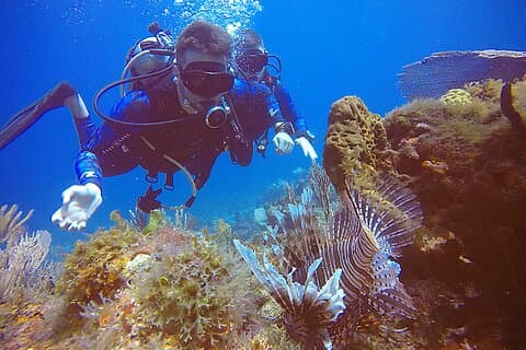 2 Tanks Tauchen in Punta Cancun Riffen für zertifizierte Taucher