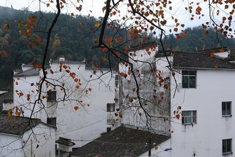 Private Day Tour to Wuyuan Huangling and Likeng villages from Tunxi in Huangshan