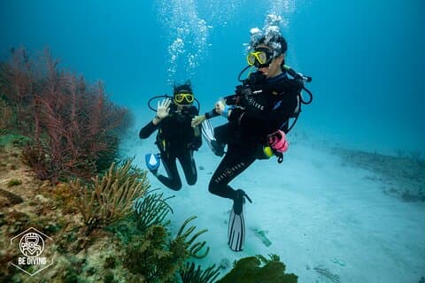 Basic Diver - Bautismo