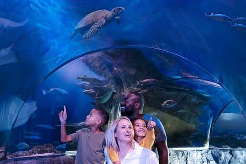 Entrada al acuario SEA LIFE Grapevine