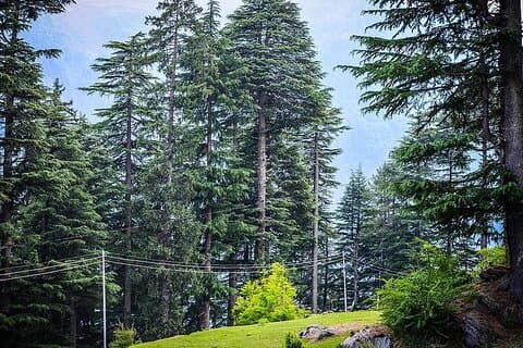 Magisches Manali Flitterwochen-Paket