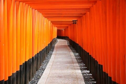 Kyoto Afternoon Tour from Kyoto or Osaka