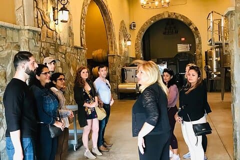 Virginia Wineries Guided Tour and Tastings from Washington DC