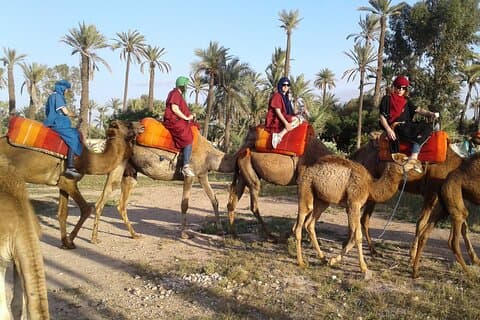 Paseo en camello de 1 hora en La Palmeraie Marrakech con recogida en el hotel