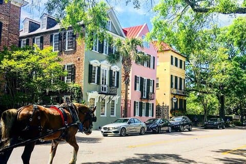 Giro turistico storico di Charleston con cavalli e carrozza