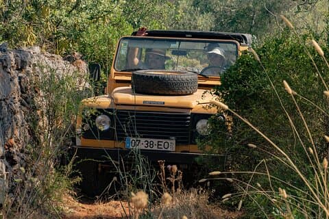 Safari privato di un'intera giornata in Algarve