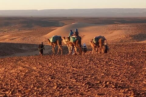 4 Day Private Desert Trek from M'Hamid to Chegaga