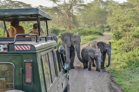 3 Days Serengeti Park & Ngorongoro Crater Adventure Safari