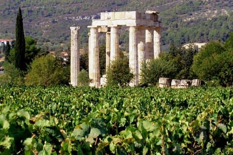 Ancient Nemea Private Full-Day Tour vanuit Athene met wijnproeverij