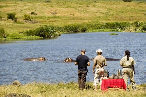 2 - Dia Private Luxury Safari: Tarangire & Ngorongoro Tanzânia